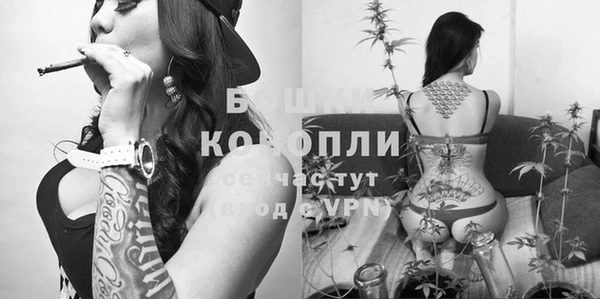 каннабис Аркадак