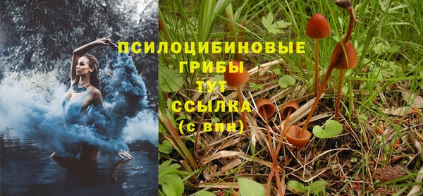 a pvp Арсеньев