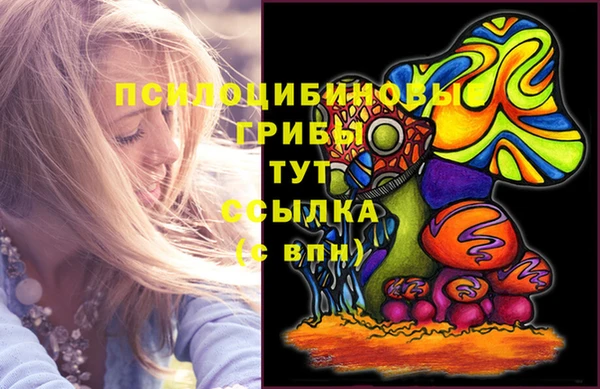 каннабис Аркадак