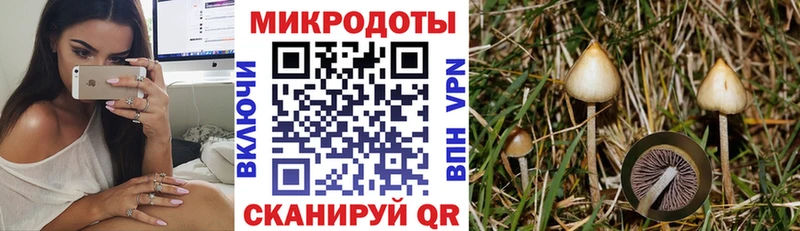 Псилоцибиновые грибы GOLDEN TEACHER  Кукмор 